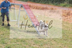 Med-G1-3-593