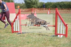 med-G4-5-12