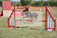 med-G4-5-124
