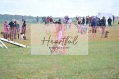 sml-G1-3-123