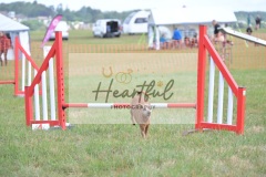 sml-G1-3-129