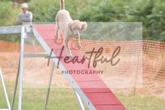 sml-G1-3-50