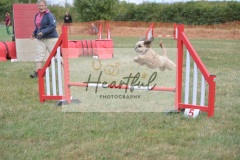 G4-5-84
