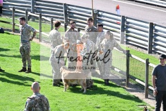 Thruxton-army-motorsport-day-43