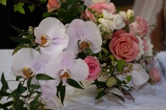Zoe-and-Joel-191